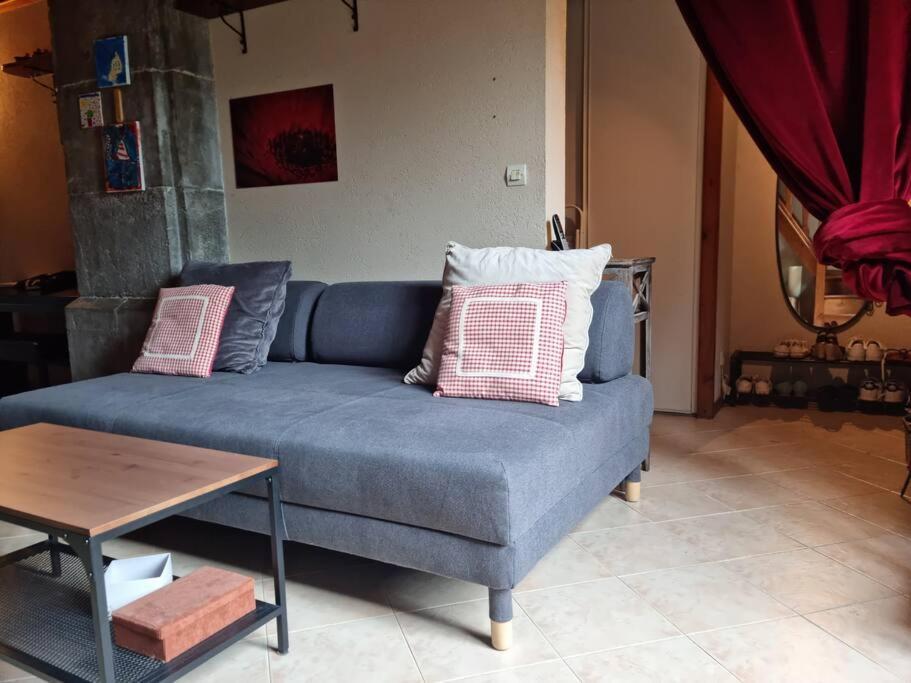 Chateau D'Uriage - Duplex Avec Terrasse Privative Saint-Martin-dʼUriage Εξωτερικό φωτογραφία